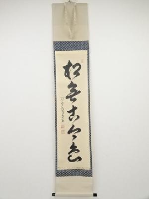 大徳寺小堀卓巌筆　「松無古今色」一行書　肉筆紙本掛軸（共箱）